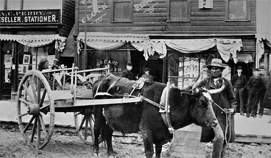 Иллюстрация к книге — Первая энциклопедия Дикого Запада - от A до Z [i_195.jpg]