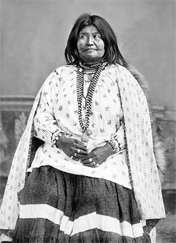 Иллюстрация к книге — Первая энциклопедия Дикого Запада - от A до Z [i_234.jpg]