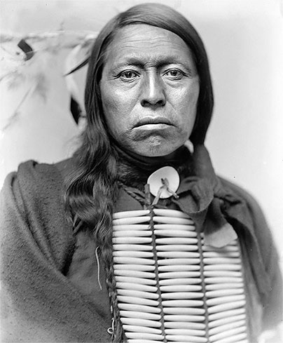 Иллюстрация к книге — Первая энциклопедия Дикого Запада - от A до Z [i_242.jpg]