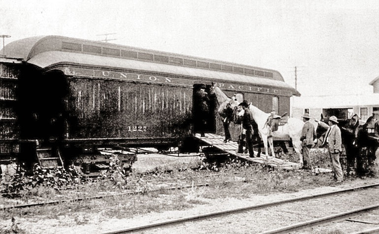 Иллюстрация к книге — Стрелки Дикого Запада. Шерифы, бандиты, ковбои, ганфайтеры [i_186.jpg]