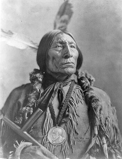 Иллюстрация к книге — Индейцы Дикого Запада в бою. "Хороший день, чтобы умереть!" [i_008.jpg]