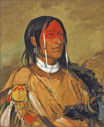 Иллюстрация к книге — Индейцы Дикого Запада в бою. "Хороший день, чтобы умереть!" [i_034.jpg]