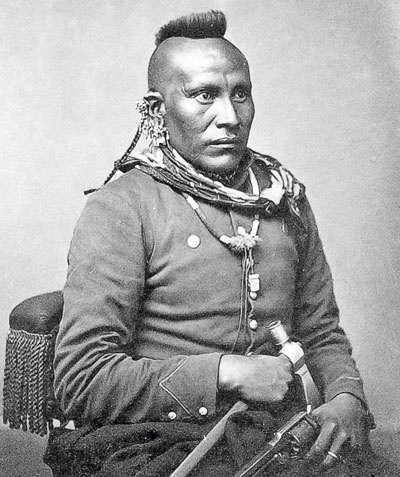 Иллюстрация к книге — Индейцы Дикого Запада в бою. "Хороший день, чтобы умереть!" [i_039.jpg]