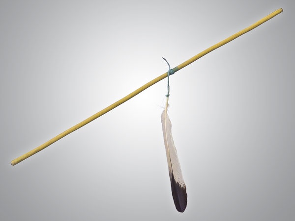 Иллюстрация к книге — Индейцы Дикого Запада в бою. "Хороший день, чтобы умереть!" [i_041.jpg]