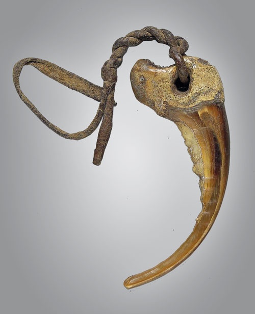 Иллюстрация к книге — Индейцы Дикого Запада в бою. "Хороший день, чтобы умереть!" [i_102.jpg]