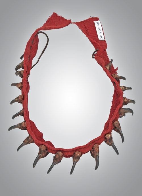 Иллюстрация к книге — Индейцы Дикого Запада в бою. "Хороший день, чтобы умереть!" [i_128.jpg]