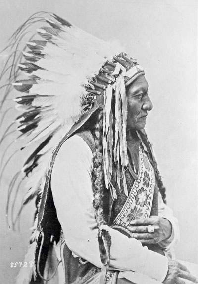 Иллюстрация к книге — Индейцы Дикого Запада в бою. "Хороший день, чтобы умереть!" [i_136.jpg]