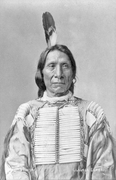 Иллюстрация к книге — Индейцы Дикого Запада в бою. "Хороший день, чтобы умереть!" [i_151.jpg]