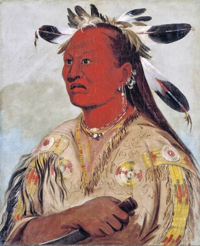 Иллюстрация к книге — Индейцы Дикого Запада в бою. "Хороший день, чтобы умереть!" [i_170.jpg]