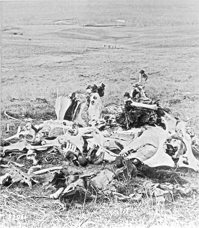 Иллюстрация к книге — Индейцы Дикого Запада в бою. "Хороший день, чтобы умереть!" [i_177.jpg]