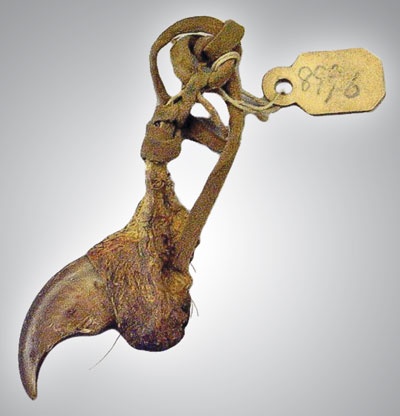 Иллюстрация к книге — Индейцы Дикого Запада в бою. "Хороший день, чтобы умереть!" [i_191.jpg]