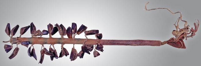 Иллюстрация к книге — Индейцы Дикого Запада в бою. "Хороший день, чтобы умереть!" [i_208.jpg]