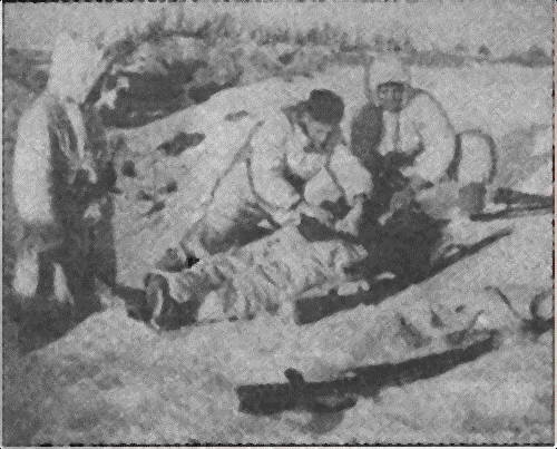 Иллюстрация к книге — Литовские полицейские батальоны. 1941-1945 годы [i_051.jpg]