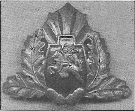 Иллюстрация к книге — Литовские полицейские батальоны. 1941-1945 годы [i_064.jpg]