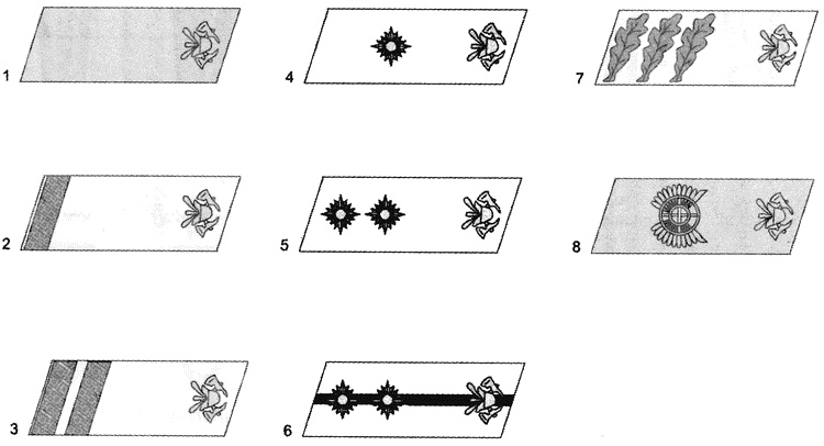 Иллюстрация к книге — Литовские полицейские батальоны. 1941-1945 годы [i_084.jpg]