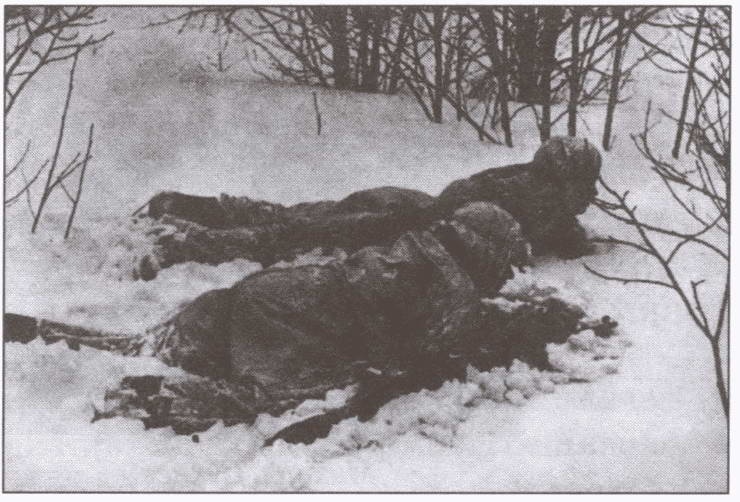 Иллюстрация к книге — Штрафники Великой Отечественной. В жизни и на экране [i_015.jpg]