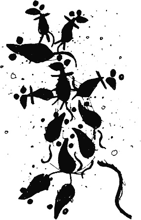 Иллюстрация к книге — Изумительный Морис и его ученые грызуны [i_001.jpg]