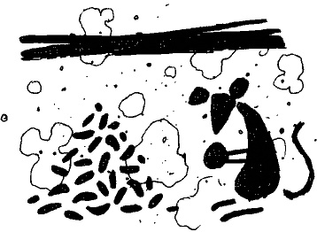 Иллюстрация к книге — Изумительный Морис и его ученые грызуны [i_003.jpg]