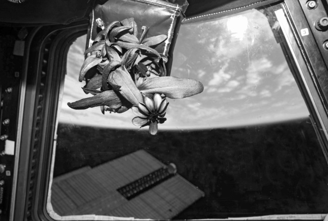 Иллюстрация к книге — Тайны Марса [i_014.jpg]