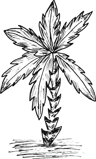 Иллюстрация к книге — Что такое "люблю" [_007.jpg]