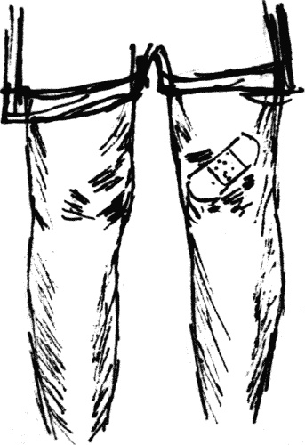 Иллюстрация к книге — Что такое "люблю" [_048.jpg]