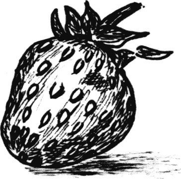 Иллюстрация к книге — Что такое "люблю" [_196.jpg]