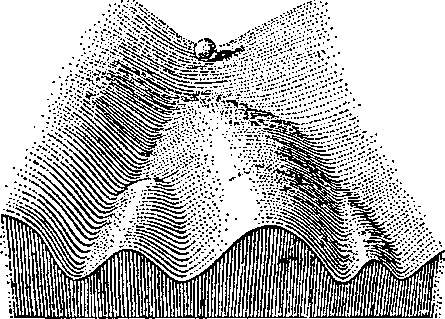 Иллюстрация к книге — Эпигенетика. Как современная биология переписывает наши представления о генетике, заболеваниях и наследственности [i_002.jpg]
