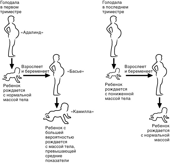 Иллюстрация к книге — Эпигенетика. Как современная биология переписывает наши представления о генетике, заболеваниях и наследственности [i_015.jpg]
