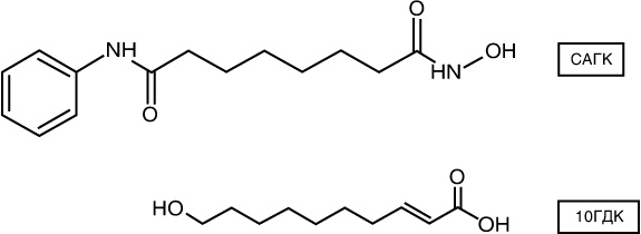 Иллюстрация к книге — Эпигенетика. Как современная биология переписывает наши представления о генетике, заболеваниях и наследственности [i_045.jpg]