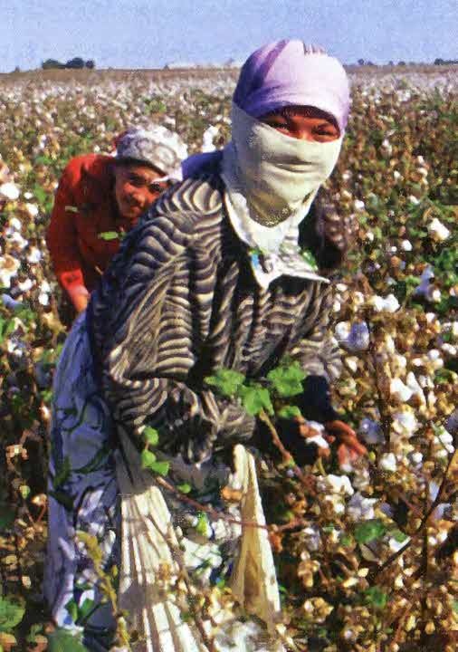 Иллюстрация к книге — Следы в пустыне [i_018.jpg]