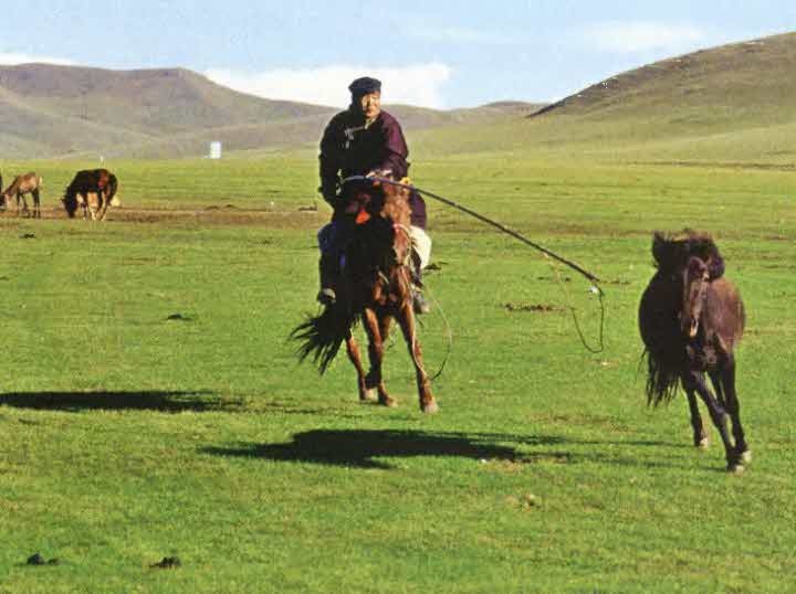 Иллюстрация к книге — Следы в пустыне [i_023.jpg]