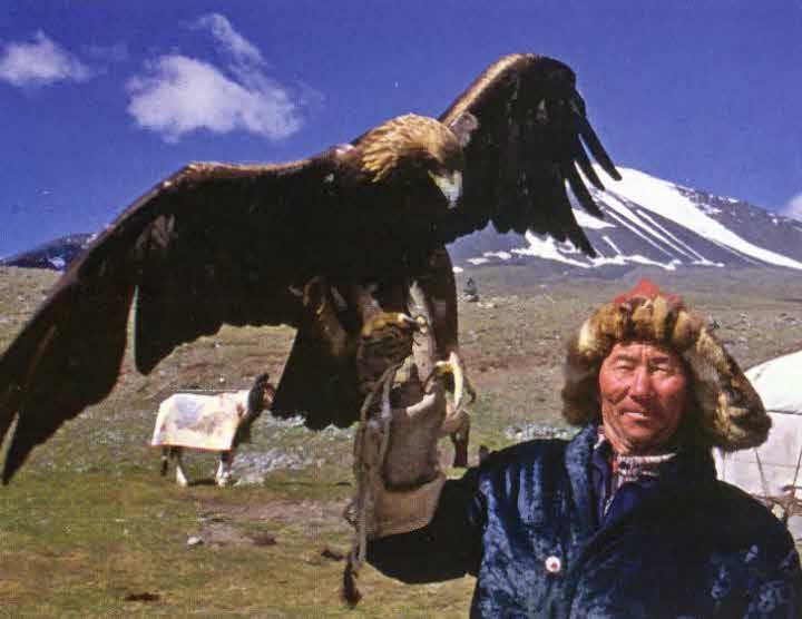 Иллюстрация к книге — Следы в пустыне [i_027.jpg]