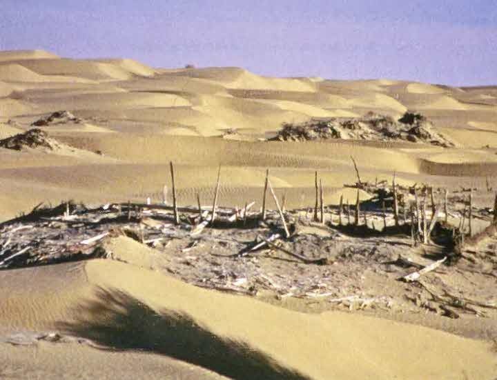 Иллюстрация к книге — Следы в пустыне [i_058.jpg]