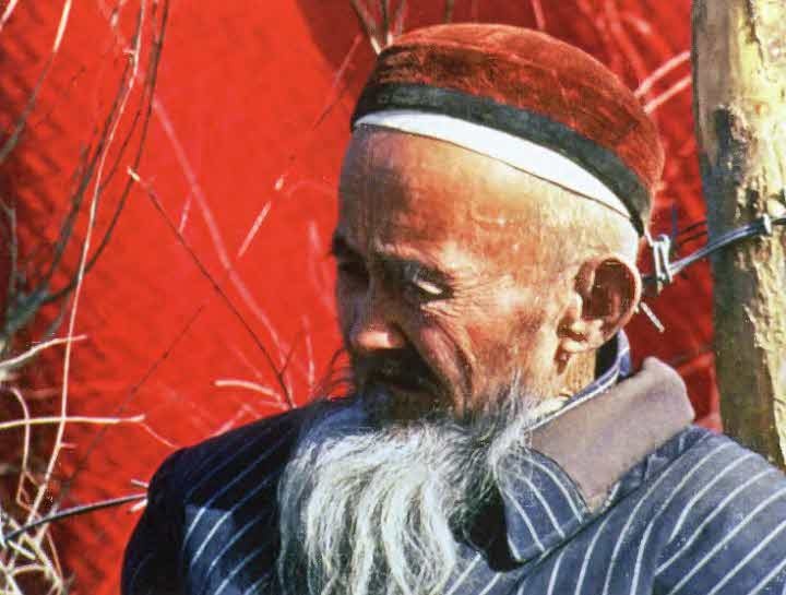 Иллюстрация к книге — Следы в пустыне [i_061.jpg]