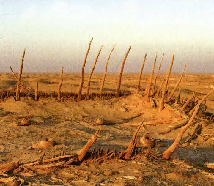 Иллюстрация к книге — Следы в пустыне [i_070.jpg]