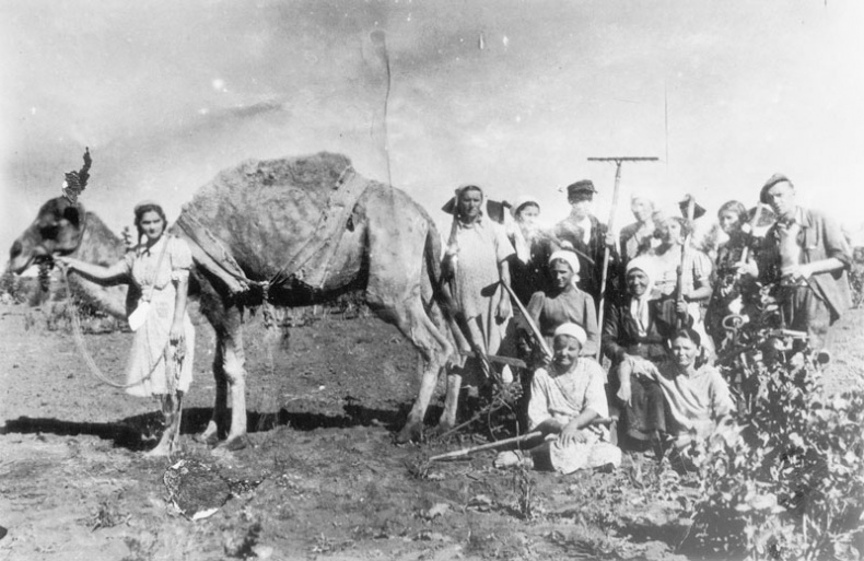 Иллюстрация к книге — ГУЛАГ [i_038.jpg]