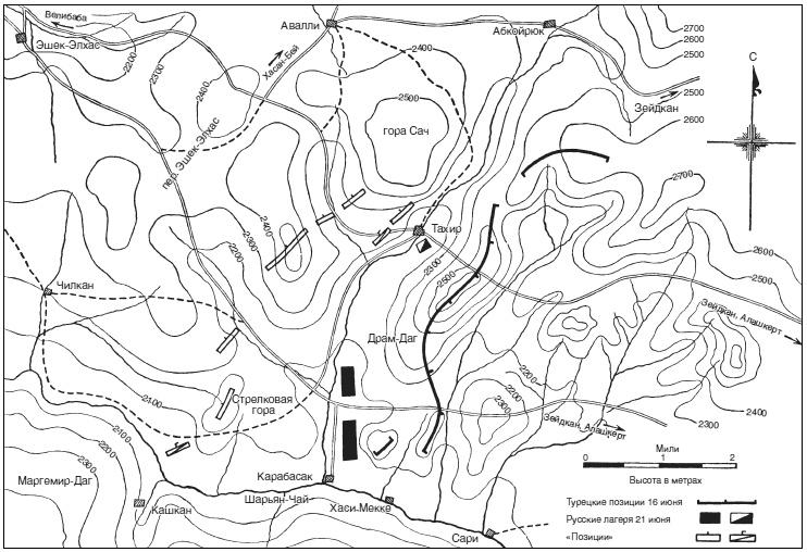 Иллюстрация к книге — Битвы за Кавказ. История войн на турецко-кавказском фронте. 1828-1921 [i_017.jpg]