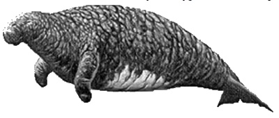 Иллюстрация к книге — Первопроходцы. Русские имена на карте Евразии [i_019.jpg]