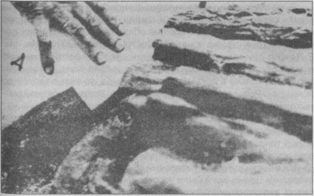 Иллюстрация к книге — Тайны подземного мира [i_027.jpg]