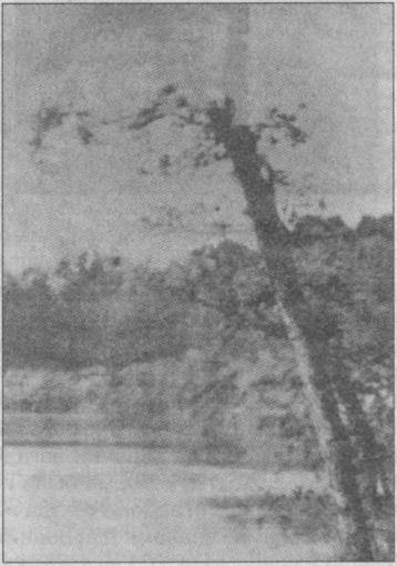 Иллюстрация к книге — Тайны подземного мира [i_054.jpg]