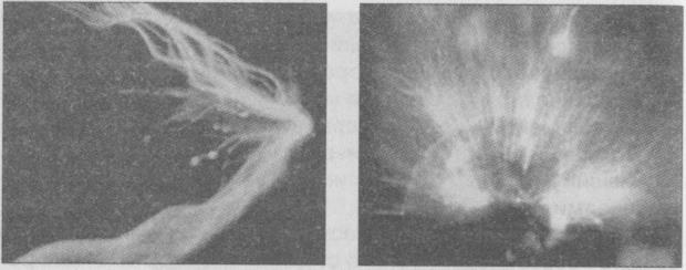 Иллюстрация к книге — Тайны подземного мира [i_056.jpg]