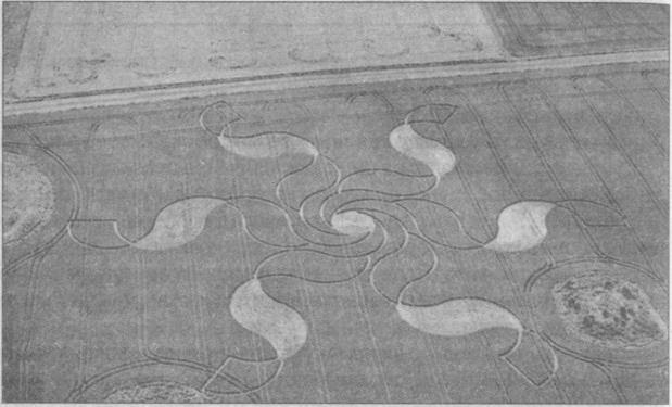 Иллюстрация к книге — Тайны подземного мира [i_088.jpg]