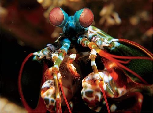 Иллюстрация к книге — Красота физики. Постигая устройство природы [i_081.jpg]