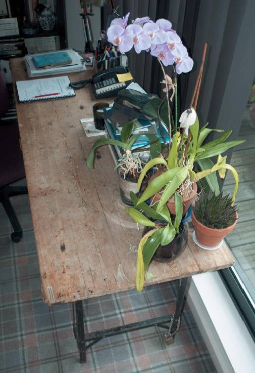 Иллюстрация к книге — Вивьен Вествуд [i_029.jpg]