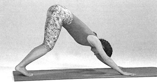 Иллюстрация к книге — Гимнастика для позвоночника [i_046.jpg]