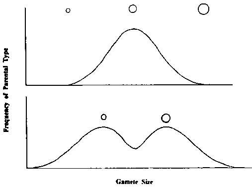 Иллюстрация к книге — Тайны пола. Мужчина и женщина в зеркале эволюции [i_006.jpg]
