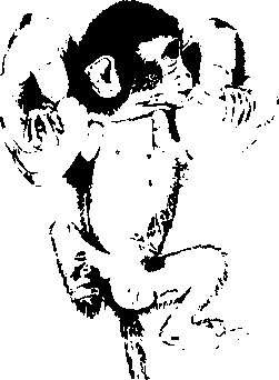 Иллюстрация к книге — Тайны пола. Мужчина и женщина в зеркале эволюции [i_025.jpg]