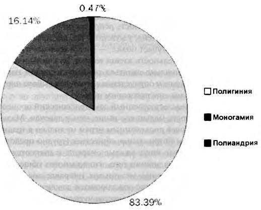 Иллюстрация к книге — Тайны пола. Мужчина и женщина в зеркале эволюции [i_029.jpg]