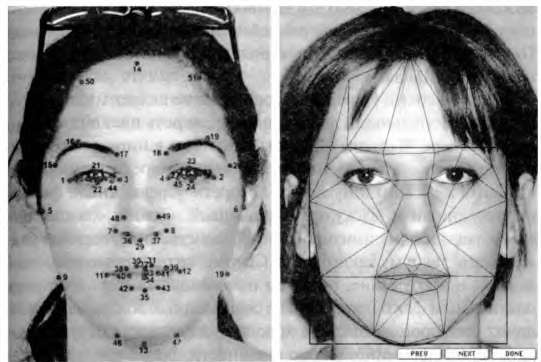 Иллюстрация к книге — Тайны пола. Мужчина и женщина в зеркале эволюции [i_042.jpg]