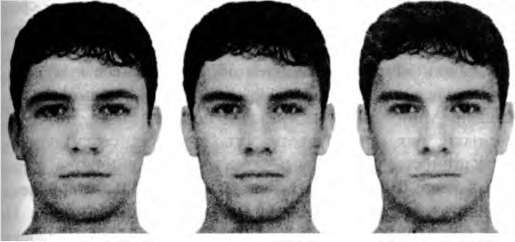 Иллюстрация к книге — Тайны пола. Мужчина и женщина в зеркале эволюции [i_044.jpg]